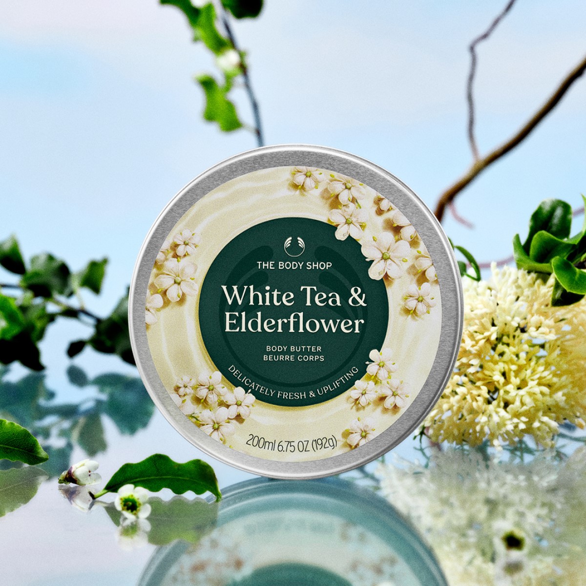 The body shop white_tea_elderflower_body_butter