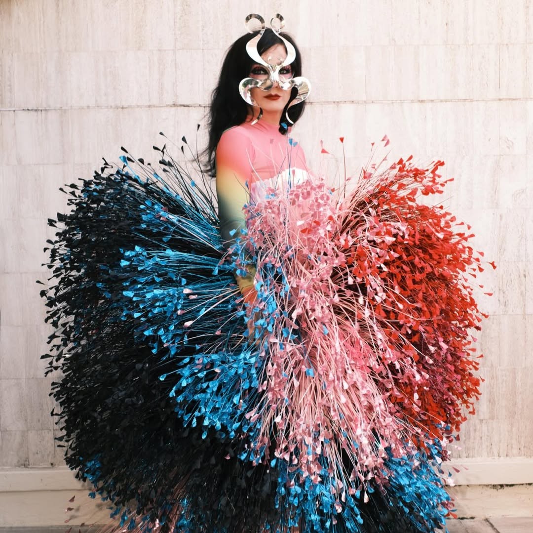 bjork (1)