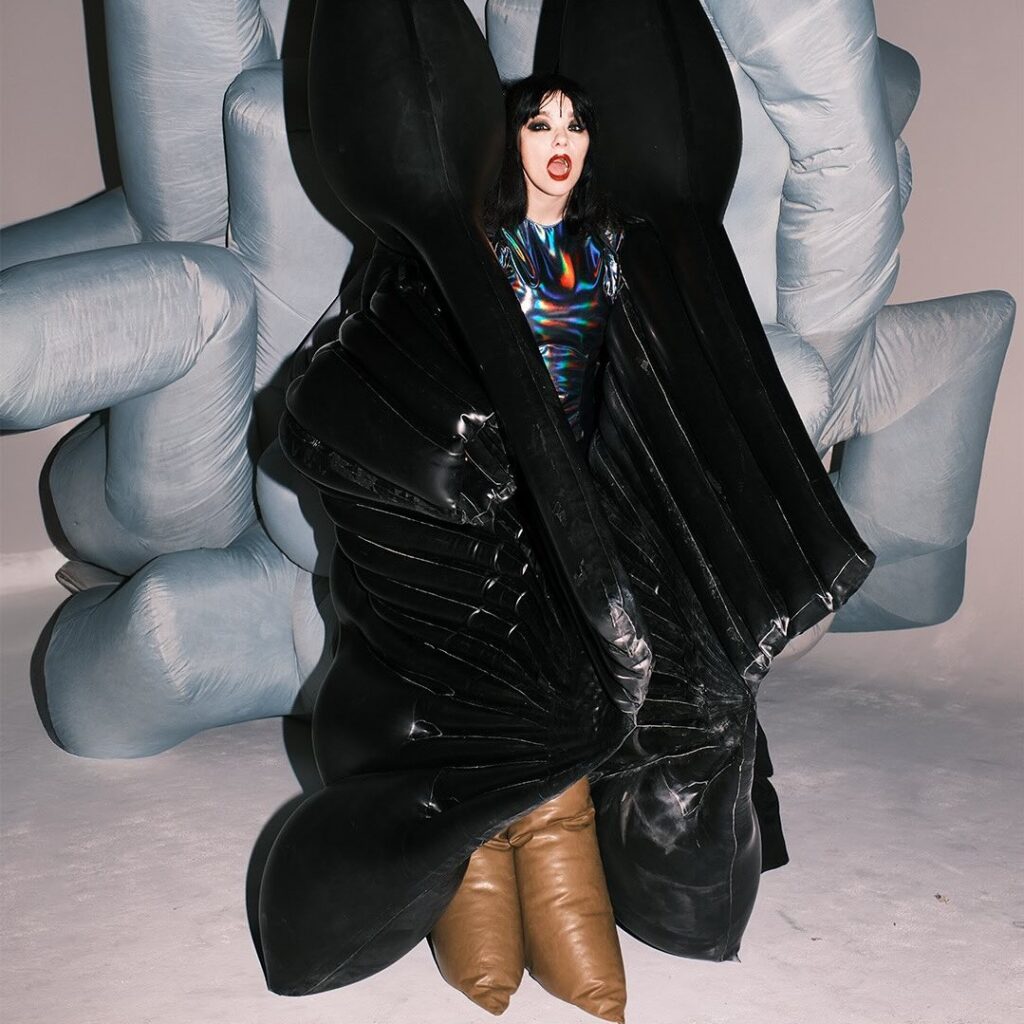 bjork (3)