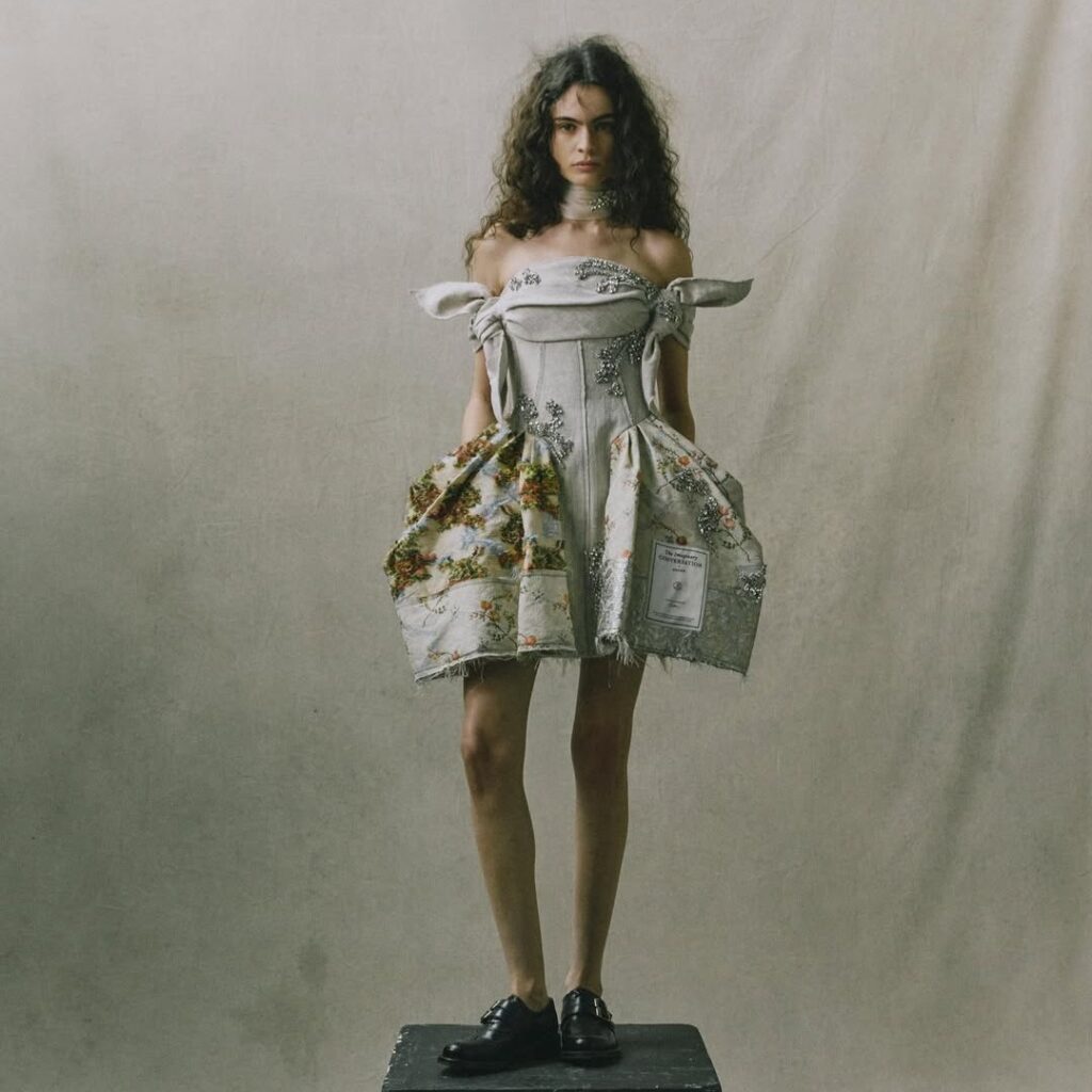 taylor-swift-erdem (1)
