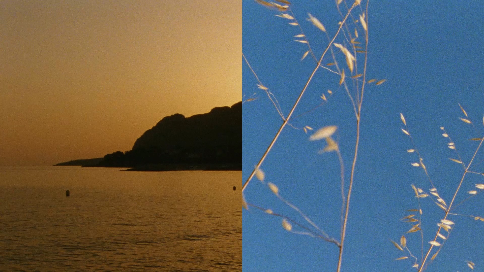 videoframe_10829 copy