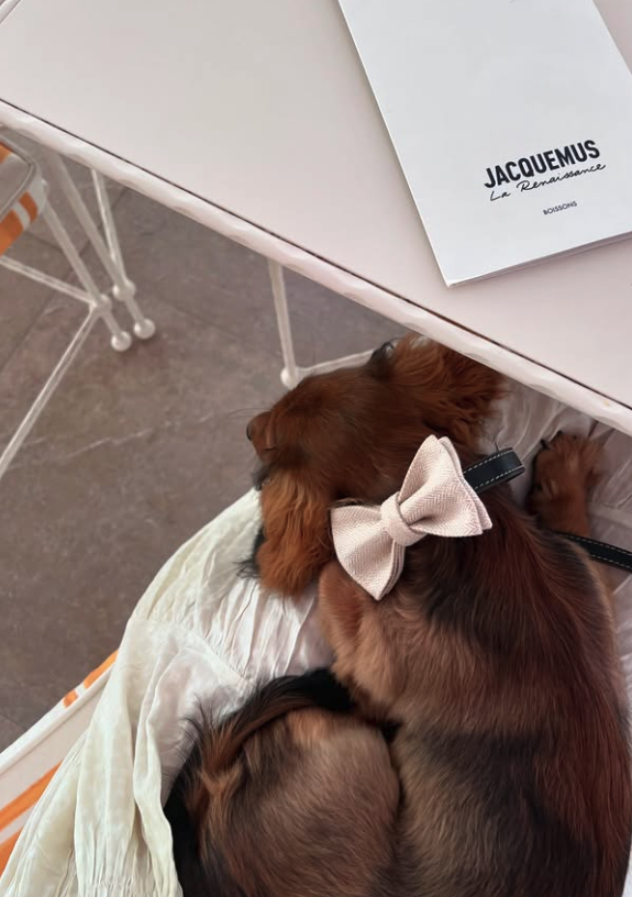 Jacquemus 2