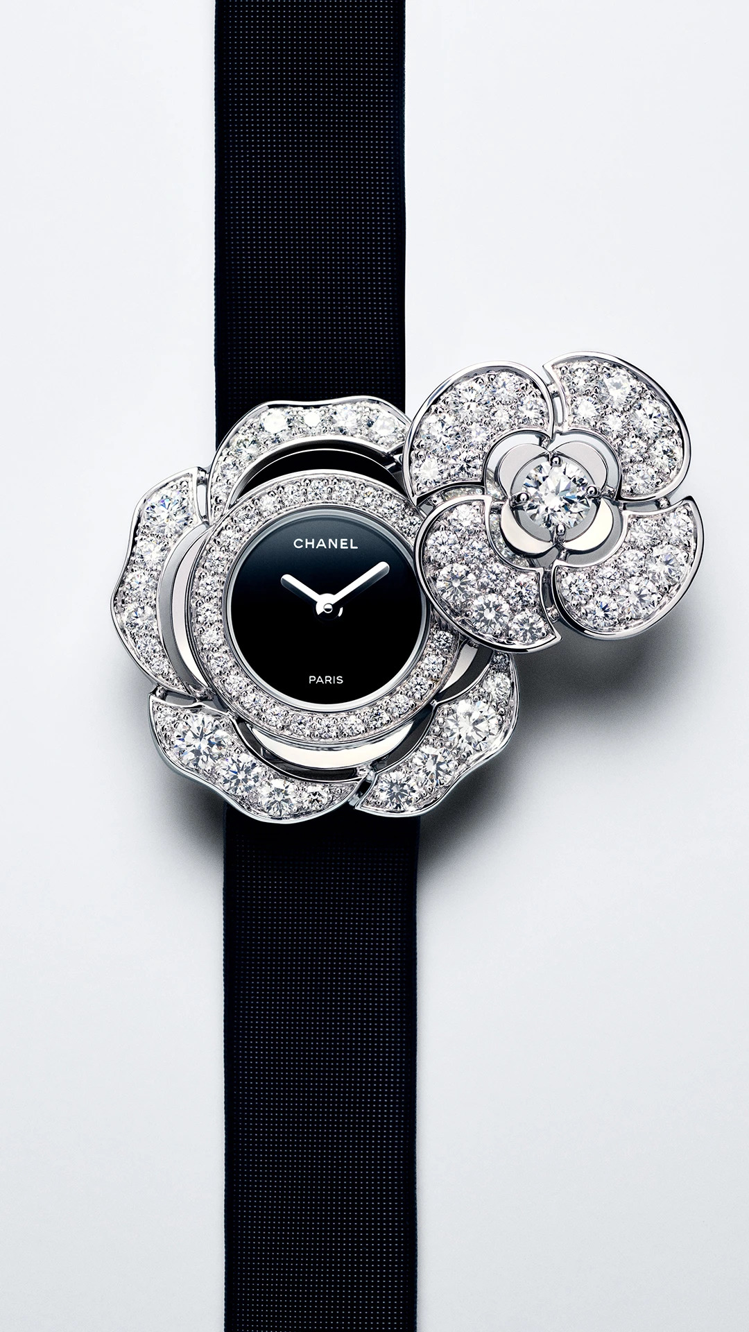chanel-camelia