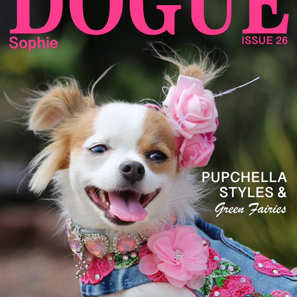 DOGUE-issue26-cover-compressed