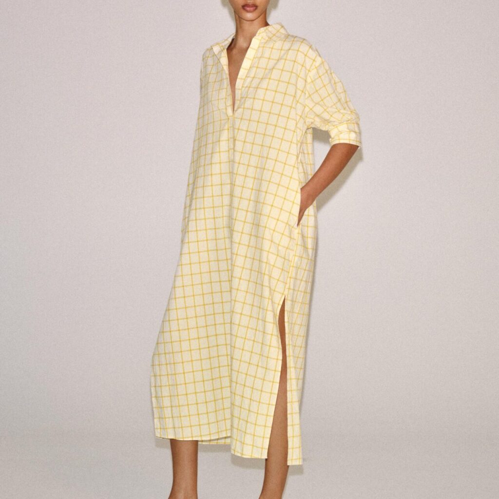 Zara dress
