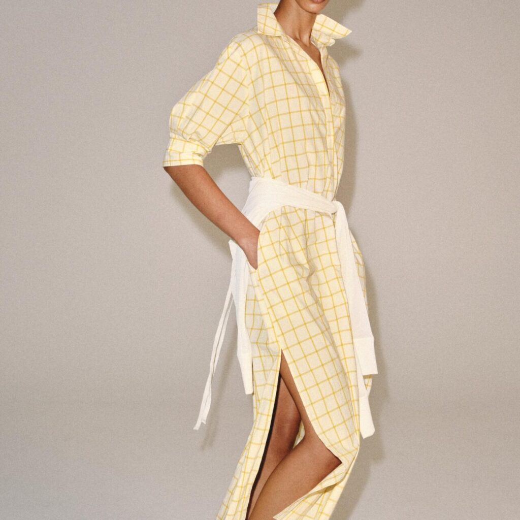 Zara dress 2