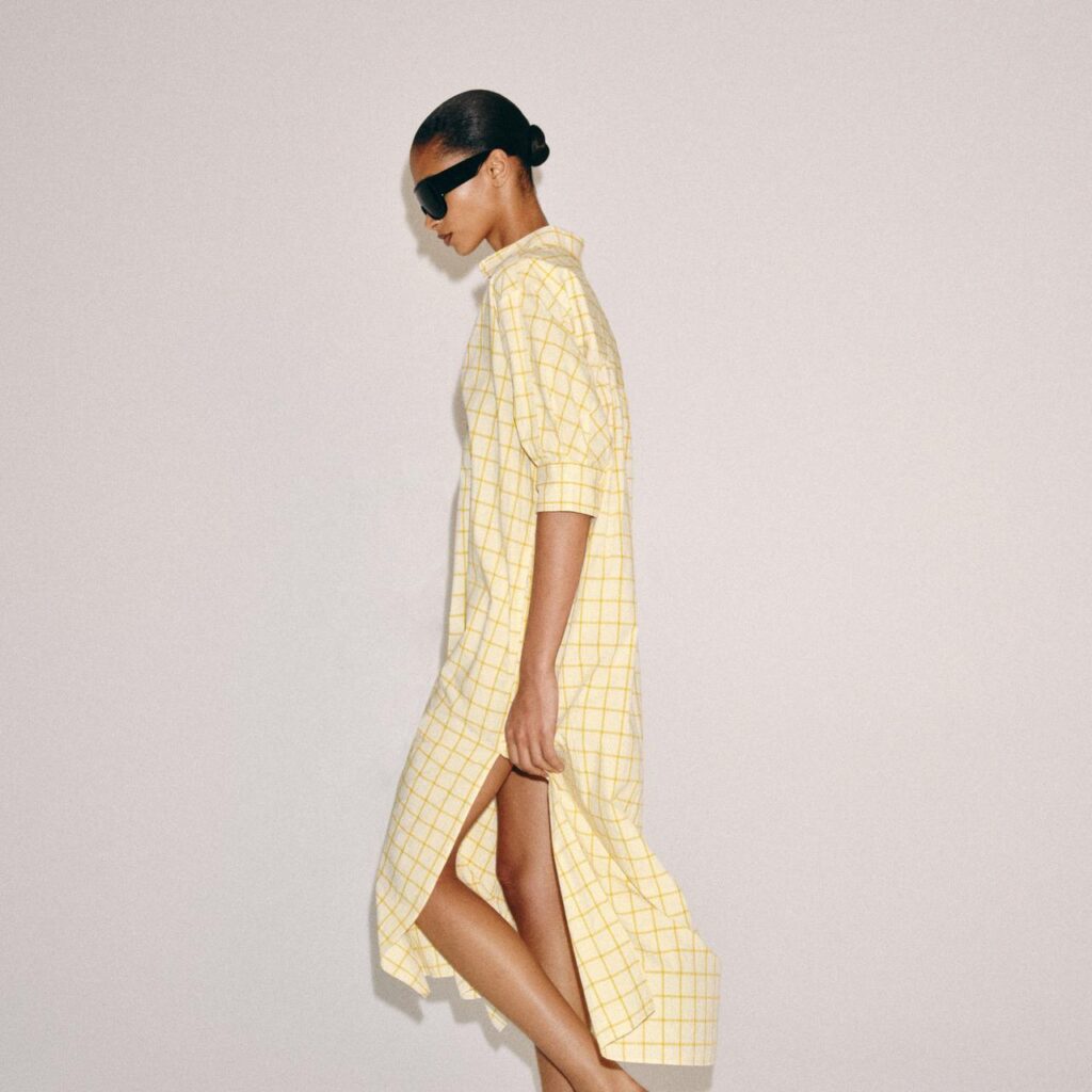 Zara dress 3