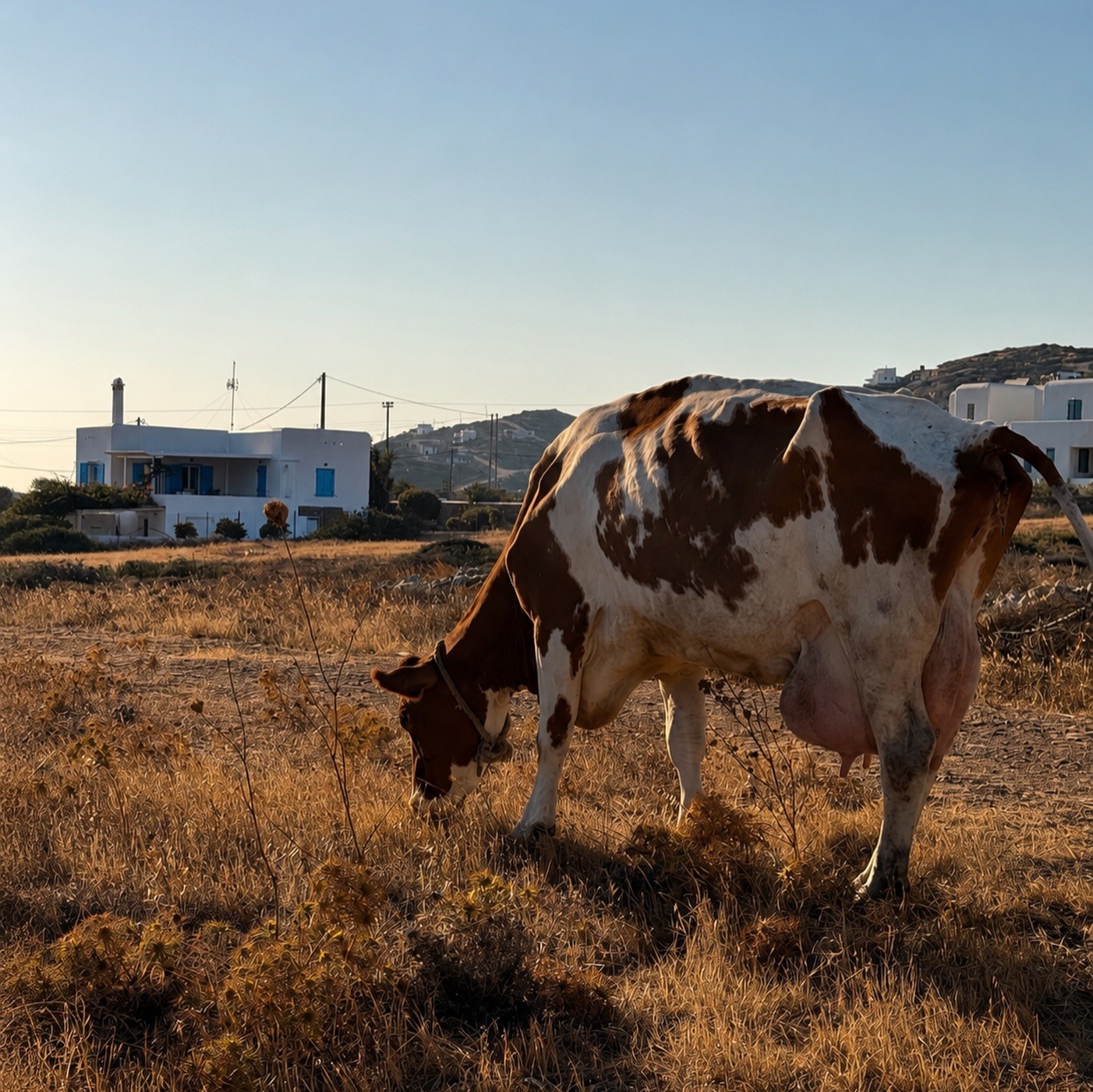 antiparos-sabato-de-sarno