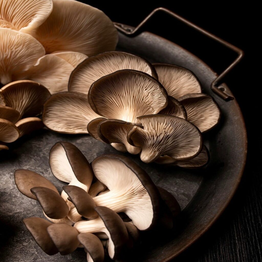 chefitt-XMS4TDYJ0HU-unsplash