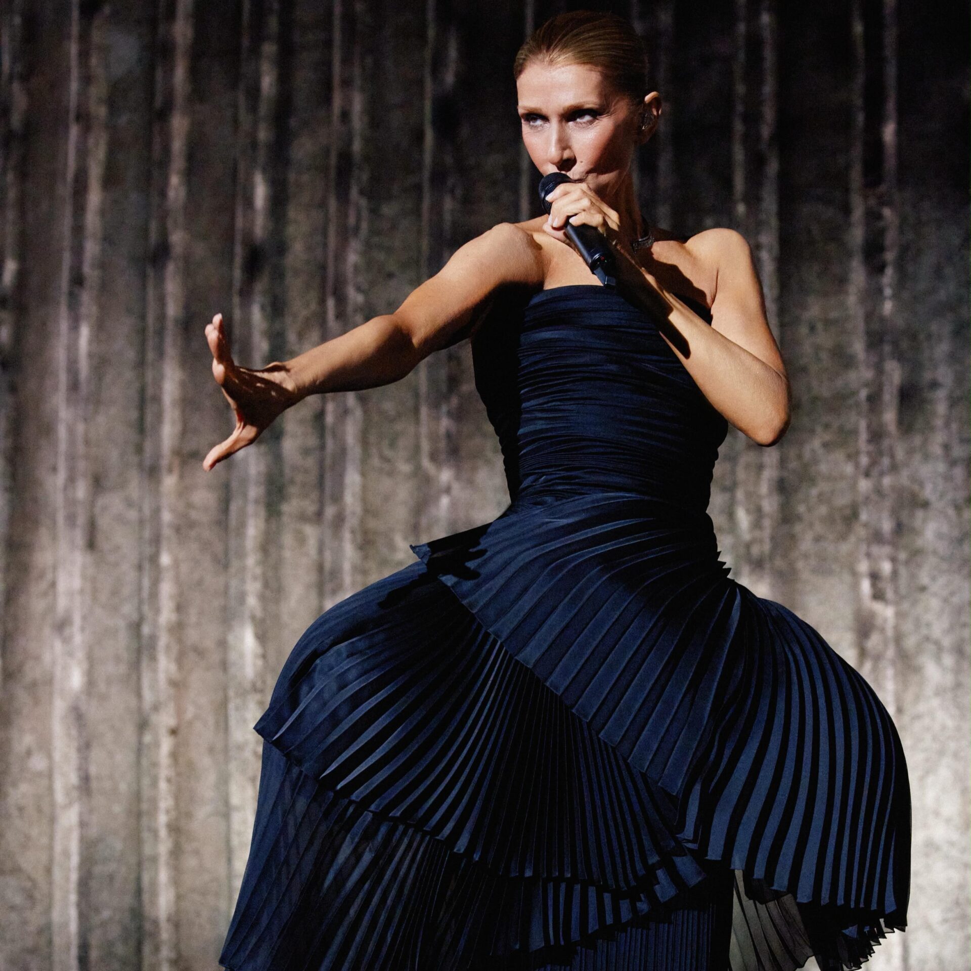 celine_dion_dior (2)